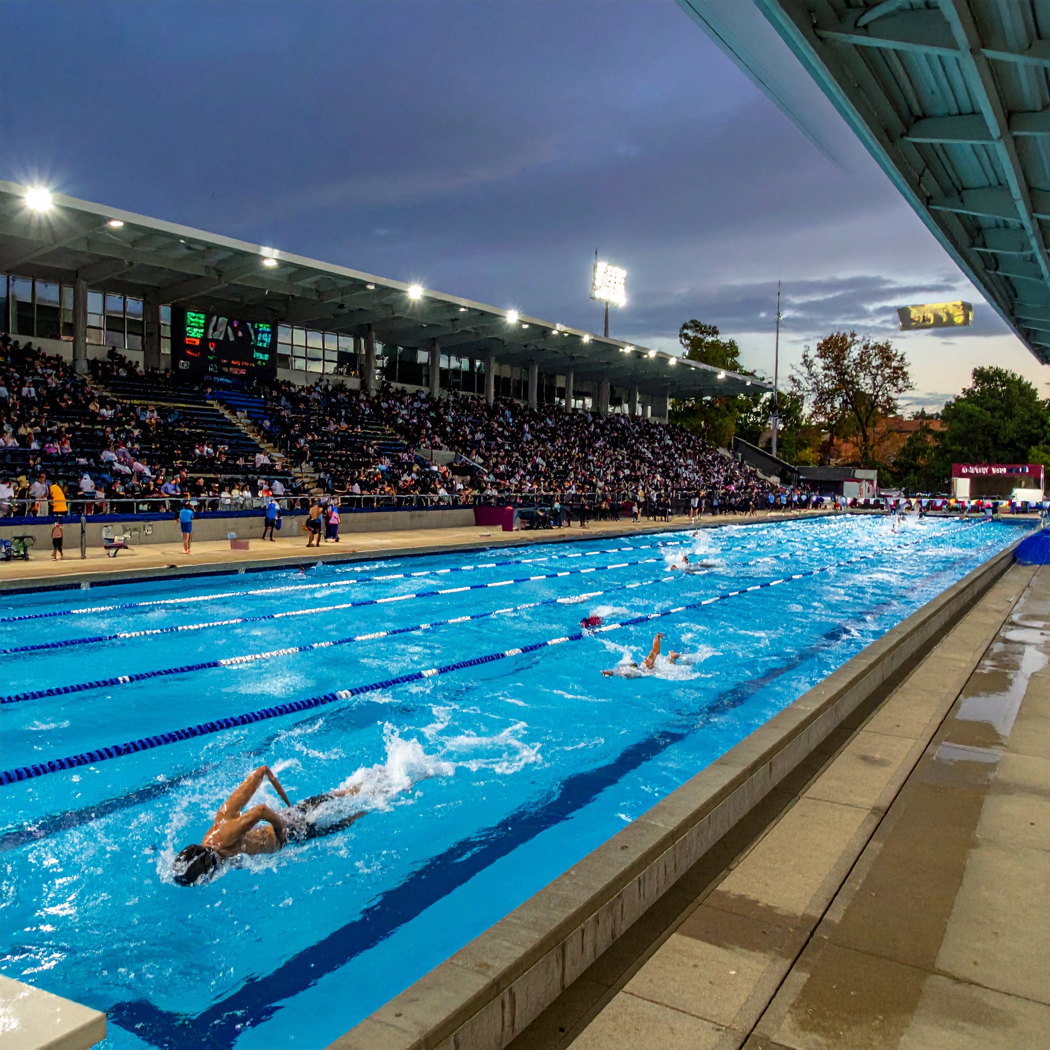 Competition pool at night
